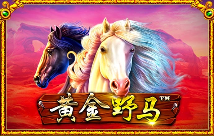 奥门新浦京